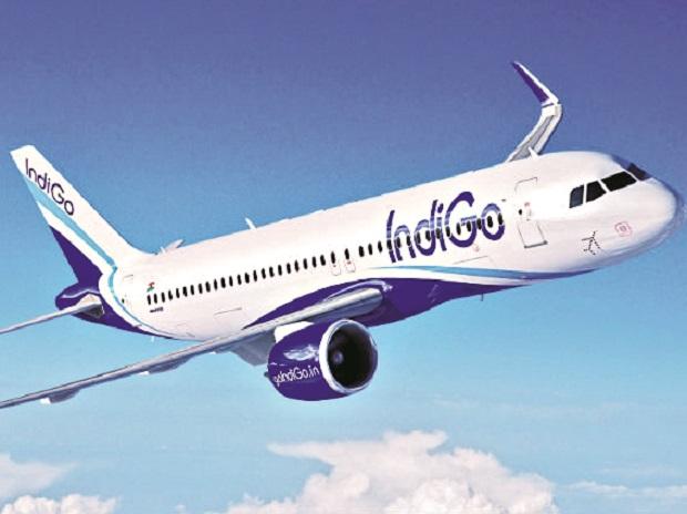 Indigo Airlines