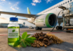 Sustainable aviation fuel